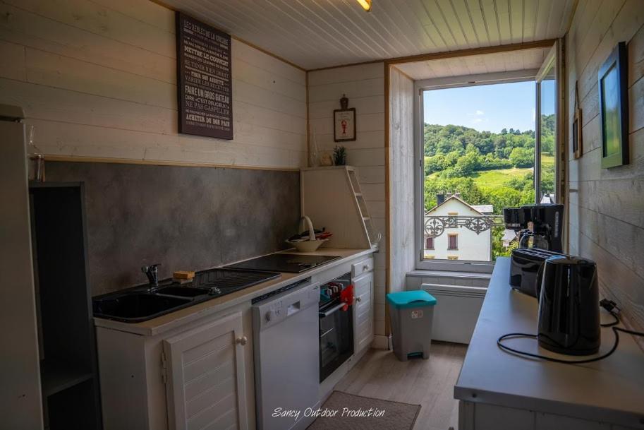 Les Tilleuls Besse-et-Saint-Anastaise Exterior foto